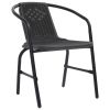 Patio Chairs 2 pcs Plastic Rattan and Steel 242.5 lb