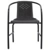 Patio Chairs 2 pcs Plastic Rattan and Steel 242.5 lb